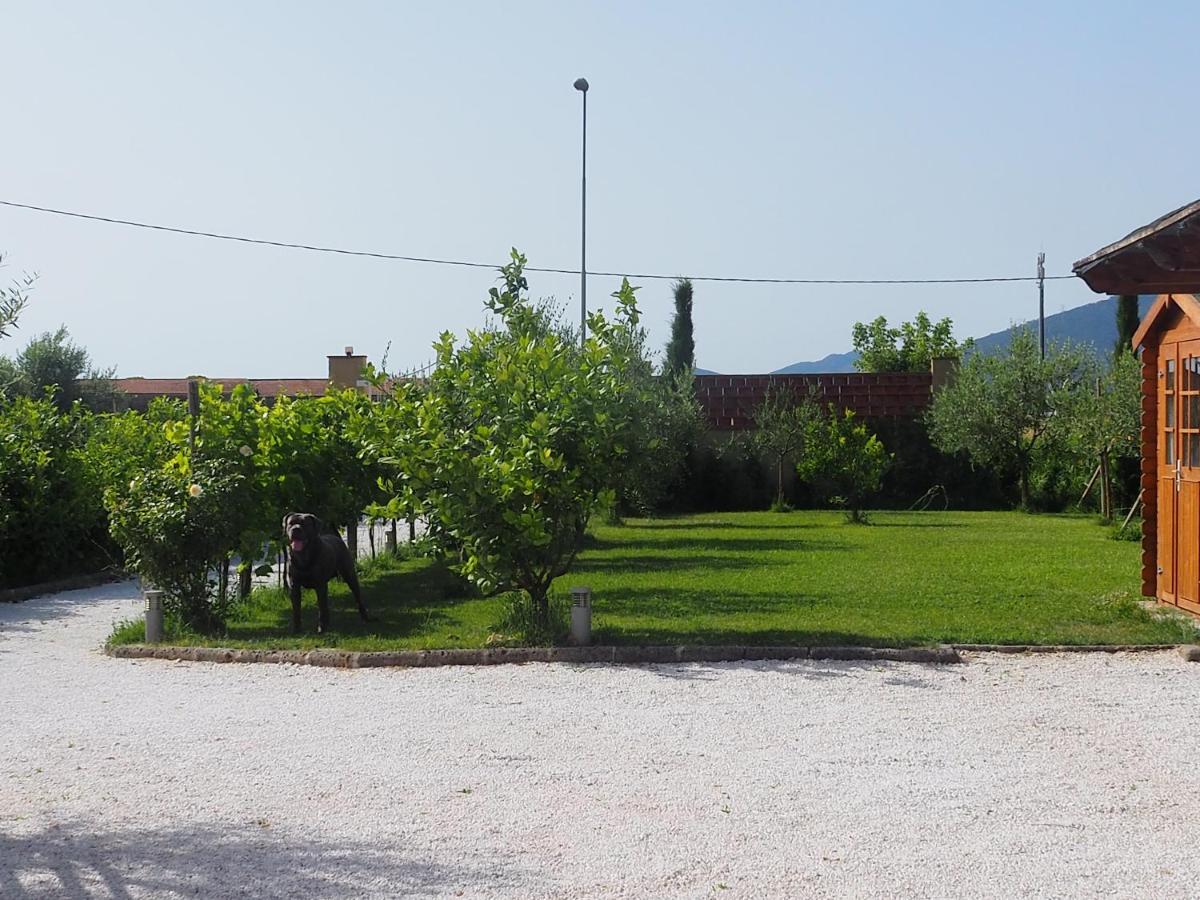 La Casa Di Samarcanda Uliveto Terme Kültér fotó