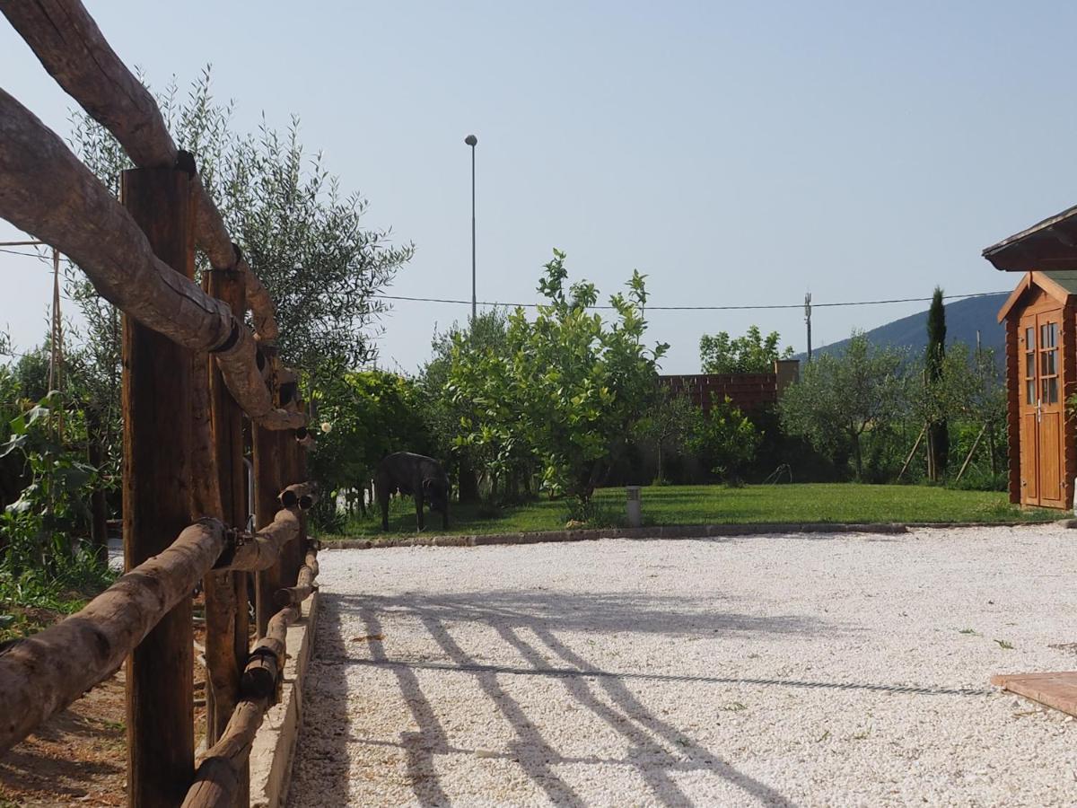 La Casa Di Samarcanda Uliveto Terme Kültér fotó