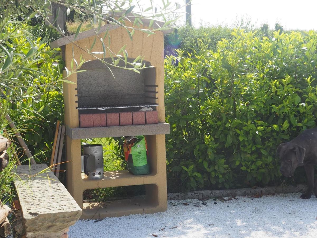 La Casa Di Samarcanda Uliveto Terme Kültér fotó