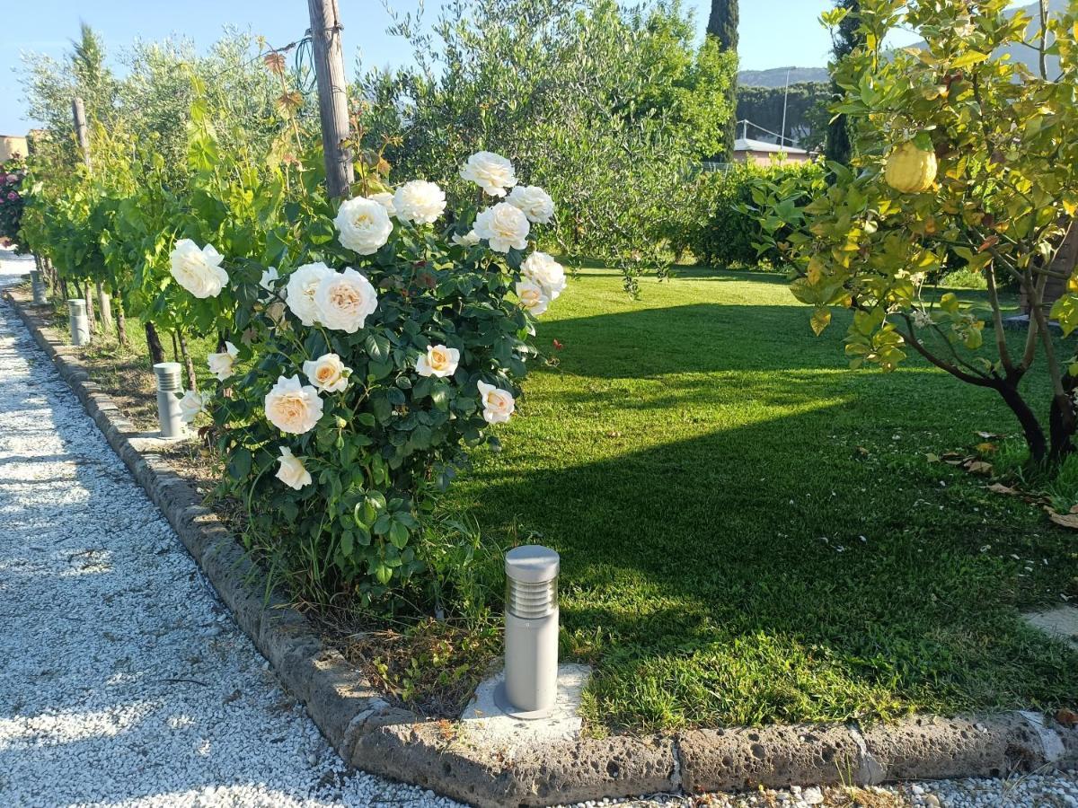 La Casa Di Samarcanda Uliveto Terme Kültér fotó